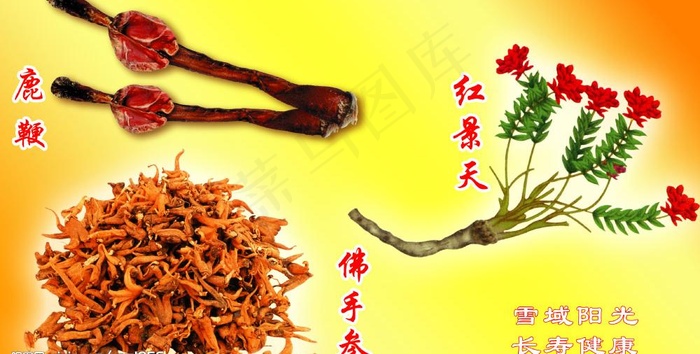 药材图片
