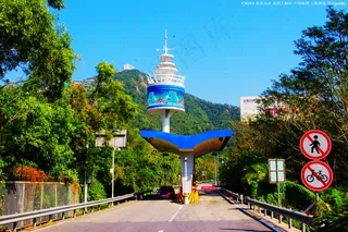 侨城景观 绿色通道图片