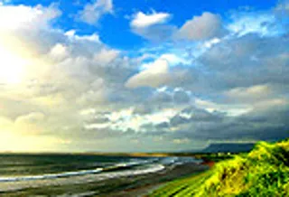 IT设计BLOG网页模板