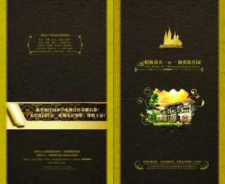 柏林春天 封皮 VI设计 宣传画...