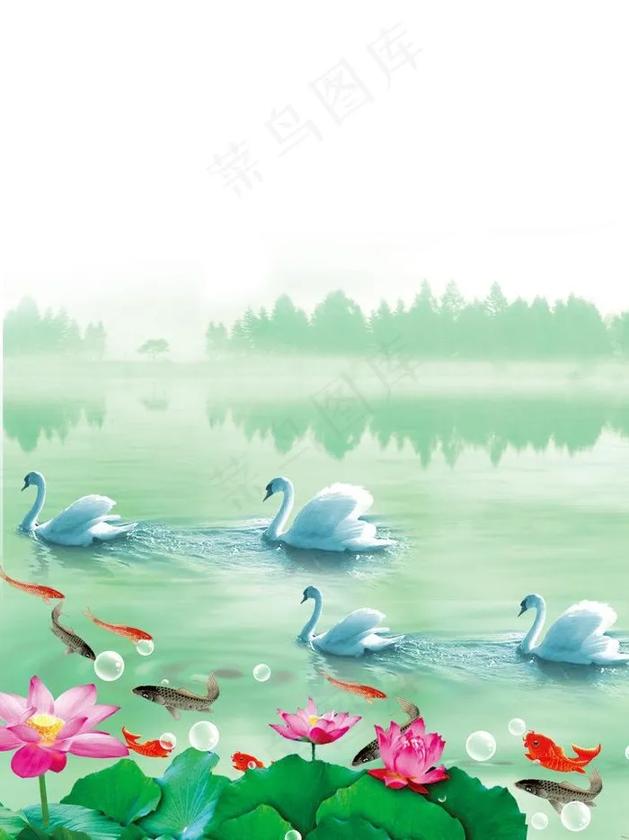 天鹅与鲤鱼图片(2480X3508(DPI:300))psd模版下载