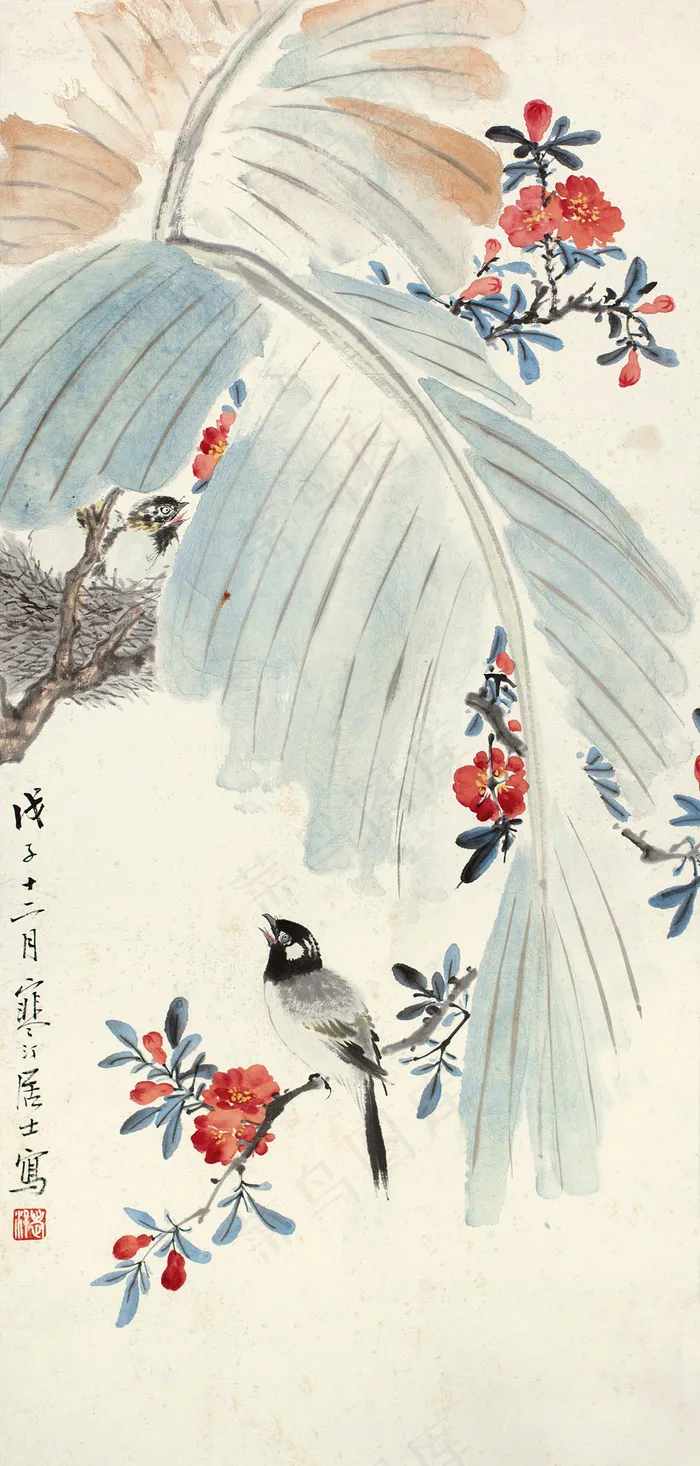 芭蕉小鸟图片