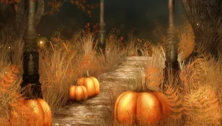 万圣节南瓜图片