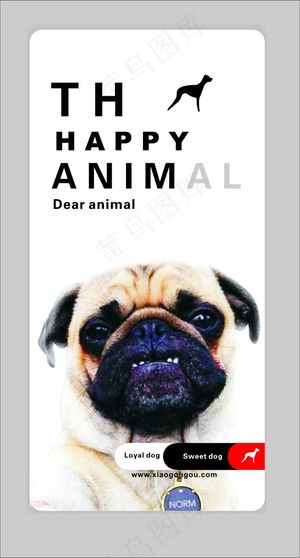 宠物名片