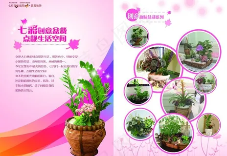 盆栽杂志图片