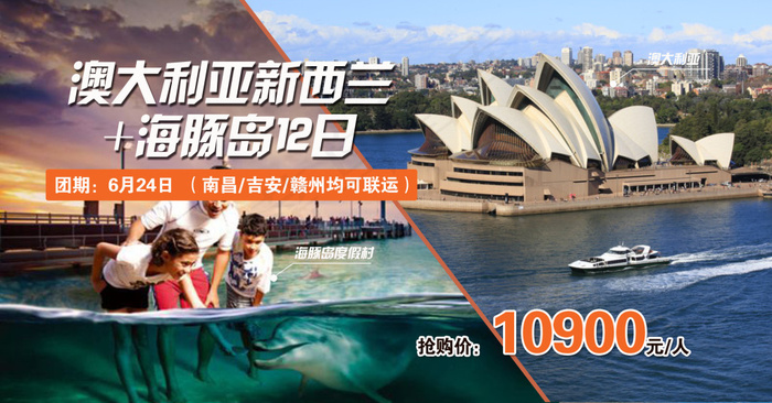 澳大利亚新西兰海豚岛旅游