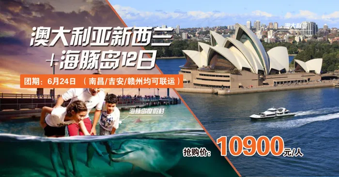 澳大利亚新西兰海豚岛旅游(2542X1333(DPI:300))psd模版下载