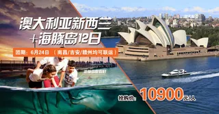 澳大利亚新西兰海豚岛旅游