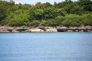 菲律宾之旅图片