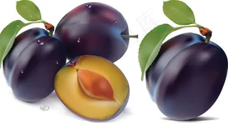 写实西梅矢量素材