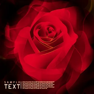 鲜艳红色大玫瑰花背景