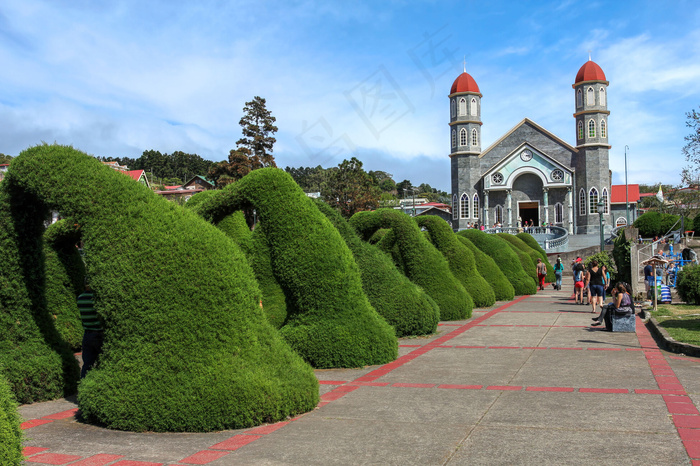 美丽园艺植物风景