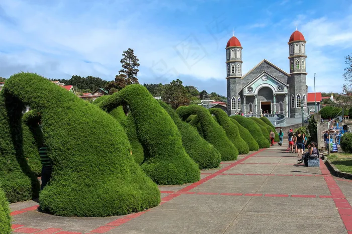 美丽园艺植物风景
