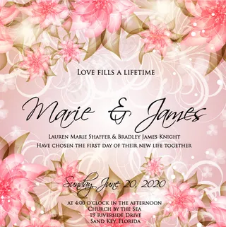 矢量花朵植物花纹线条背景