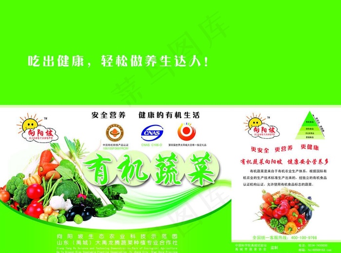 蔬菜盒子图片(6614X5291(DPI:300))psd模版下载