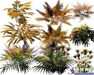 侏罗纪蕨类植物psd源文件