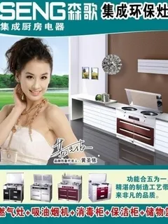 森歌集成厨房电器图片 森歌集成厨房电器图片