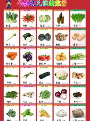 最新幼儿识蔬菜图图片
