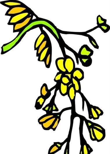 油菜花 植物 图案 矢量 AI_0017