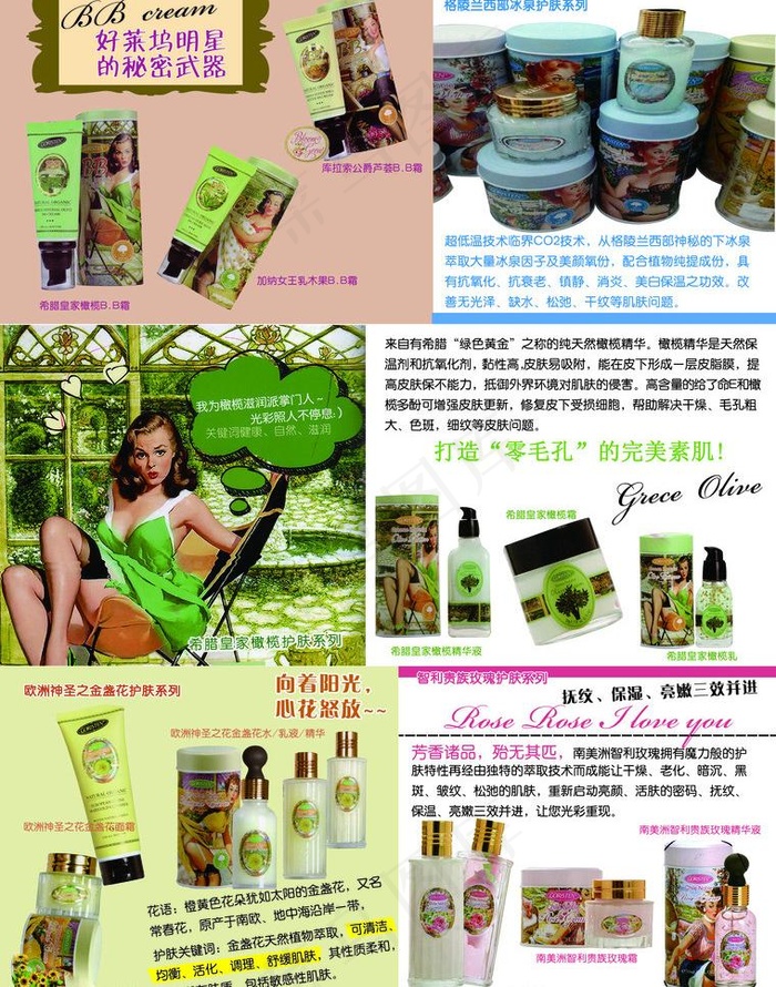 卓尔诗婷图片