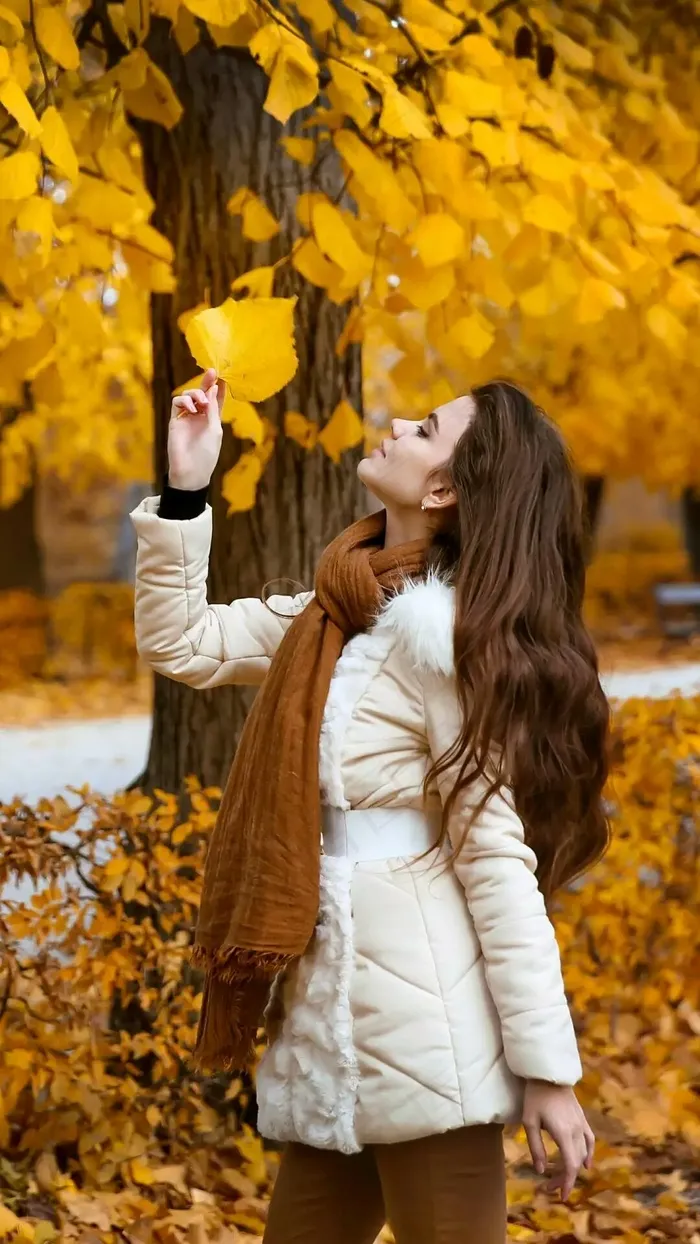 枫叶高清摄影图片