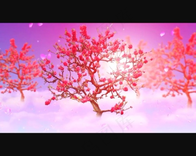 桃花背景视频素材