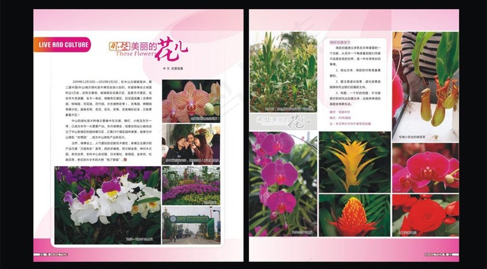 生活人文杂志内页图片
