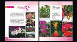 生活人文杂志内页图片