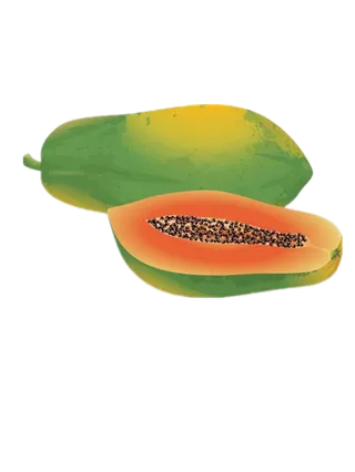 卡通新鲜木瓜png透明图层素材