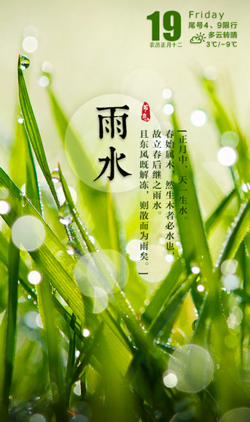 二十四节气之雨水psd模版下载