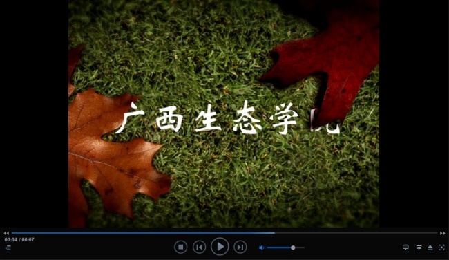 落叶知秋ae特效源文件
