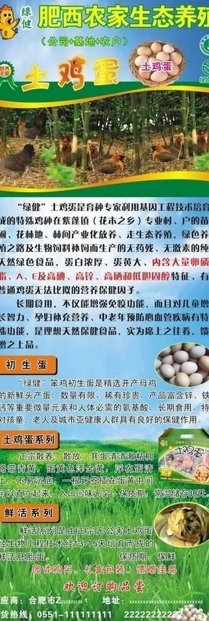 鸡蛋海报图片