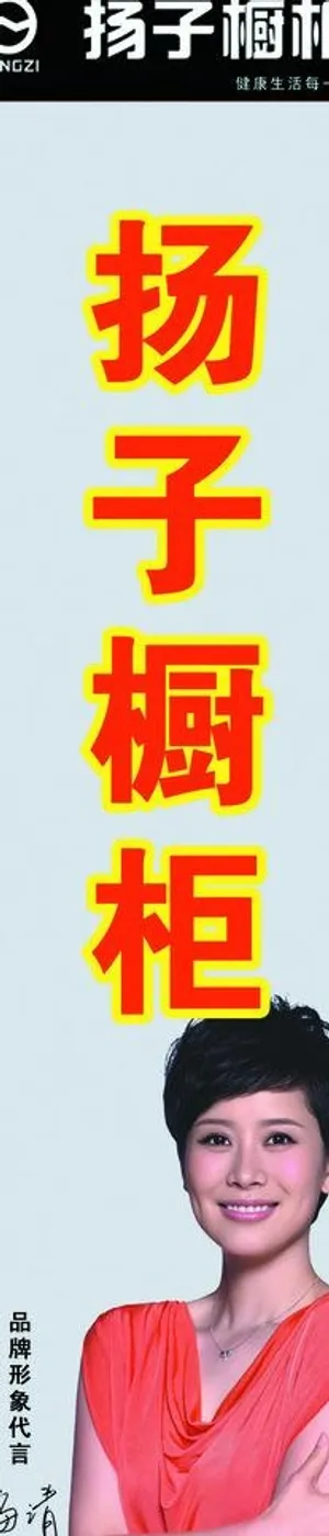 扬子橱柜图片