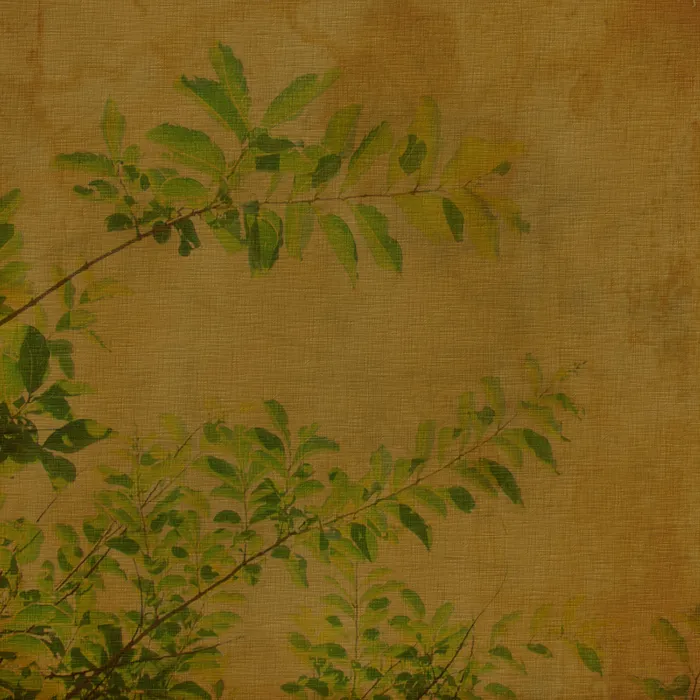 棕色肌理植物背景