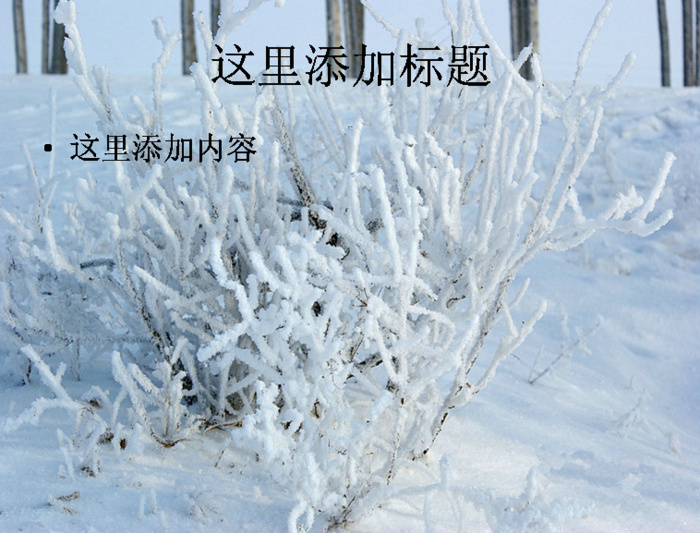 2013新春雪花飞舞高清电脑pp...