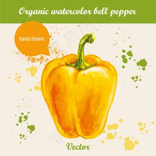 手绘水彩蔬菜水果