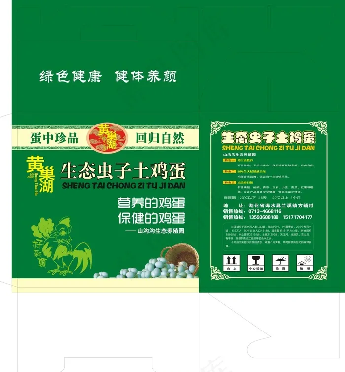 生态虫子土鸡蛋cdr矢量模版下载