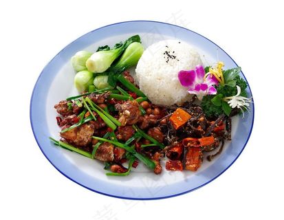 红烧鸡块套餐图片