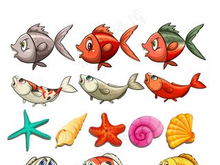 海报设计素材海星海洋动物海马热鲤鱼