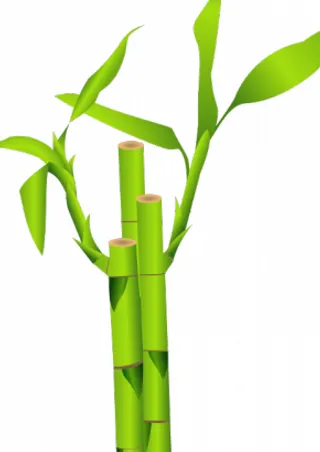 竹秆矢量插画特写