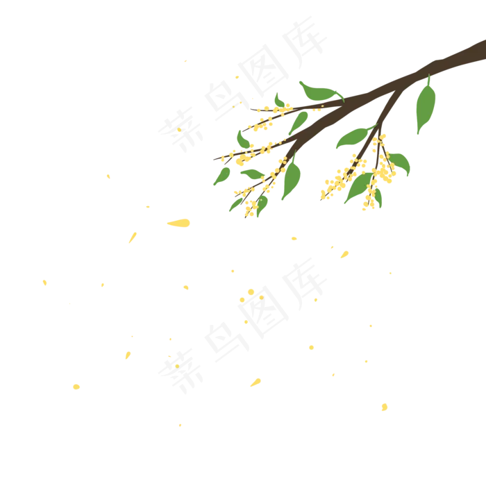 桂花枝头桂花飘落桂花枝头桂花飘落