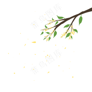 桂花枝头桂花飘落桂花枝头桂花飘落