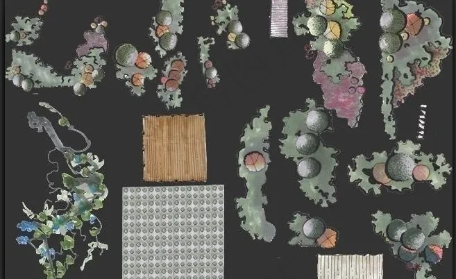 园林植物图片(4962X3507(DPI:300))psd模版下载