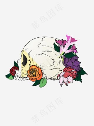 骷髅头插画
