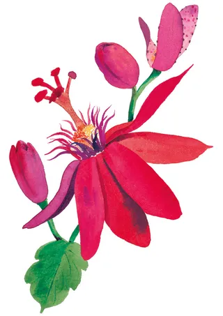 花卉图案水墨画油画玫瑰