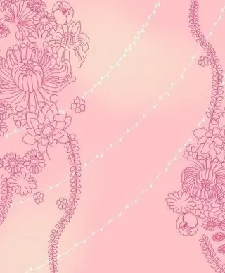 飞花点翠 菊花 荷花 粉色花图片