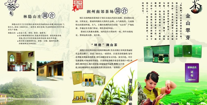 茶场三折页反图片