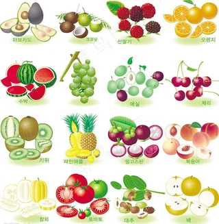 韩国风格精美诱人水果矢量素材(下)...
