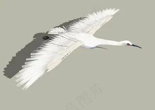 白鹭3d模型图片