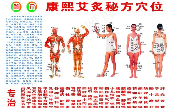 艾炙秘方穴位图片cdr矢量模版下载